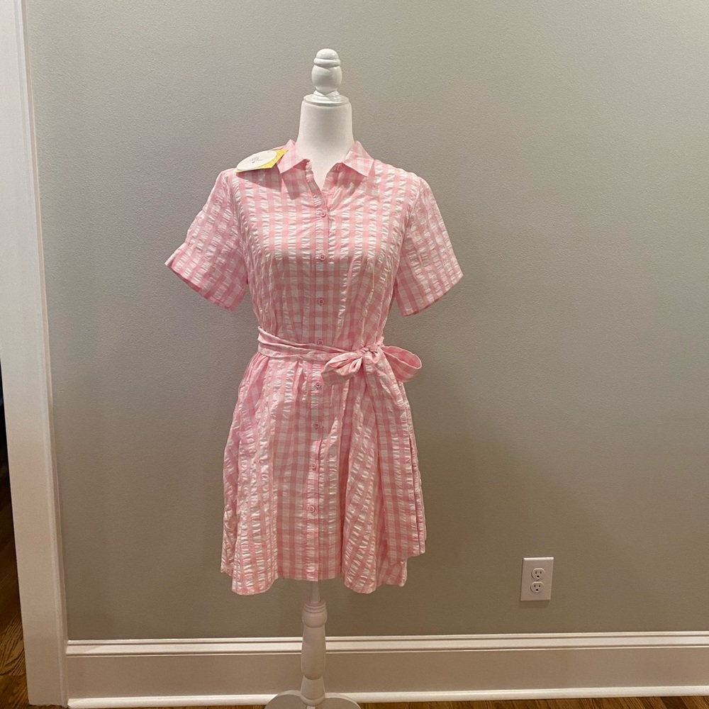 Pink gingham dress